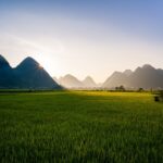 Randonnée dans les montagnes du nord du Vietnam