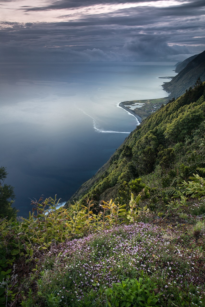 découvrez l'importance de la biodiversité pour notre planète. explorez les écosystèmes, la variété des espèces et les enjeux liés à la conservation, et comprenez comment chaque individu peut contribuer à préserver notre richesse naturelle.