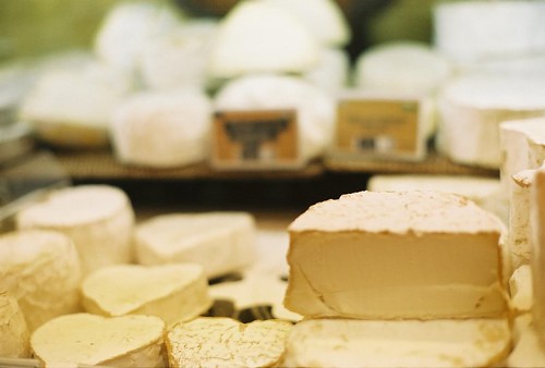 A la découverte des saveurs proposées par la fromagerie à Toulouse