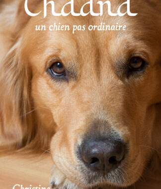 Chadna un chien pas ordinaire