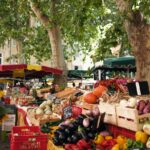 Actualités de France et d’Ailleurs : Les Événements Clés à Suivre