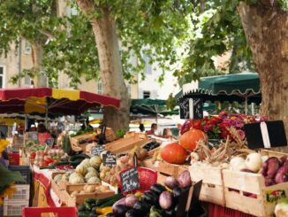 Actualités de France et d’Ailleurs : Les Événements Clés à Suivre