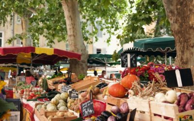 Actualités de France et d’Ailleurs : Les Événements Clés à Suivre
