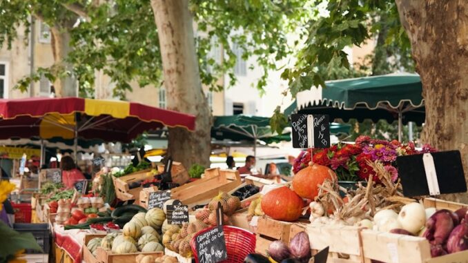 Actualité française Actualités de France et d’Ailleurs : Les Événements Clés à Suivre