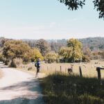 Vallée de Vicdessos : Un Joyau Naturel au Cœur des Pyrénées