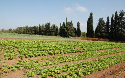 Magazine agriculture et nouvelles technologies : cultiver l’innovation pour nourrir demain