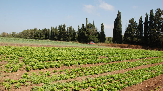Magazine agriculture et nouvelles technologies : cultiver l’innovation pour nourrir demain