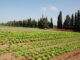 Magazine agriculture et nouvelles technologies : cultiver l’innovation pour nourrir demain